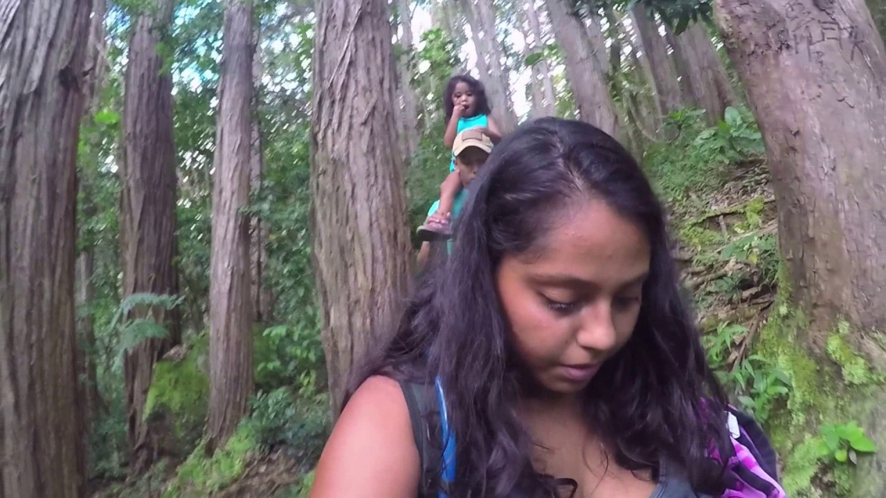 Judd Trail to Jackass Ginger Pools | Hiking in Hawaii
