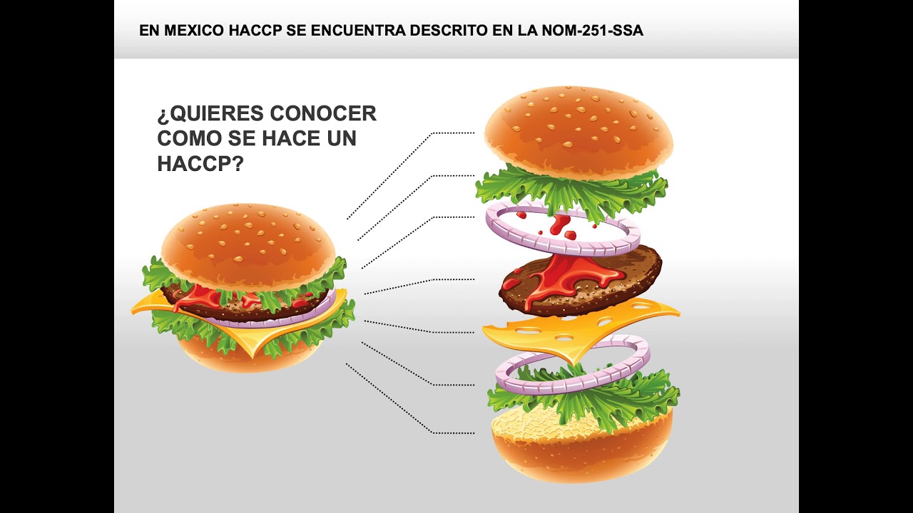 ¿Cómo ISO 22000:2018 te ayudará a Implementar HACCP? ¡Descubre Cómo Proteger Inocuidad!