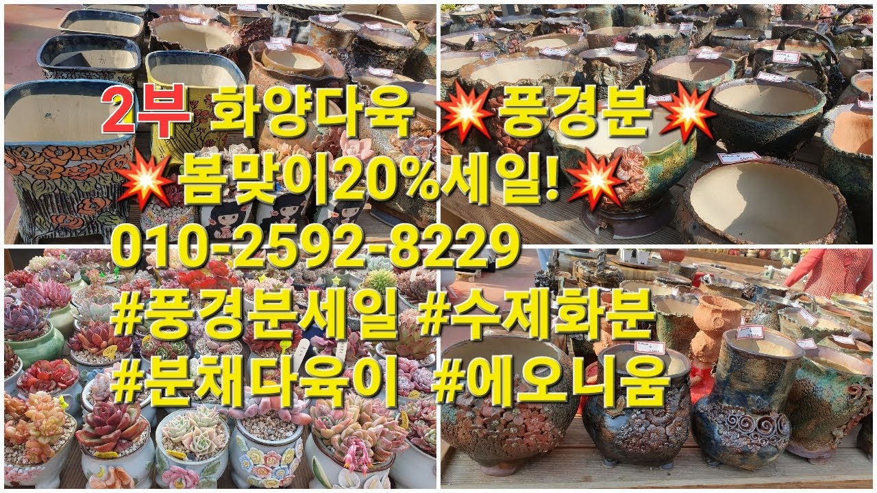 2부 화양다육 💥풍경분💥봄맞이20%세일!💥010-2592-8229 #풍경분세일 #수제화분 #분채다육이  #에오니움