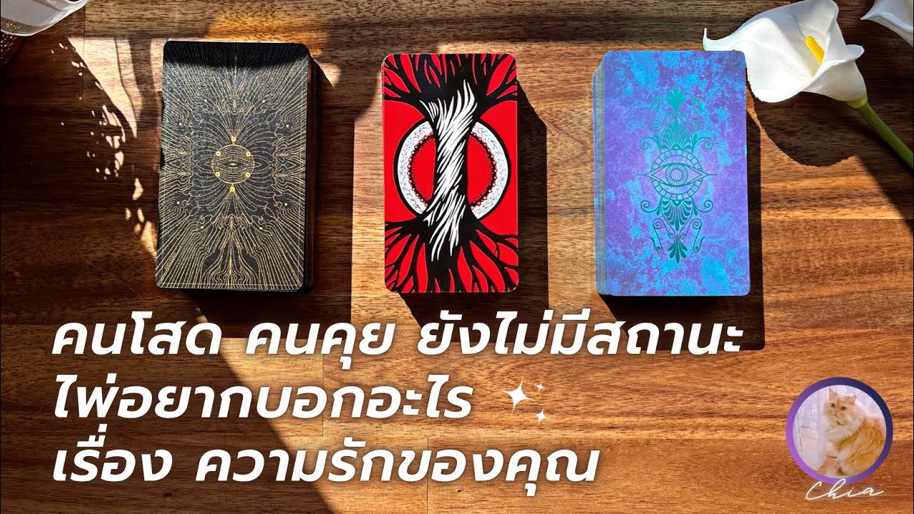 Pick a card คนโสด คนคุย ยังไม่มีสถานะ ไพ่อยากบอกอะไร เรื่องความรักของคุณ เร็วๆนี้