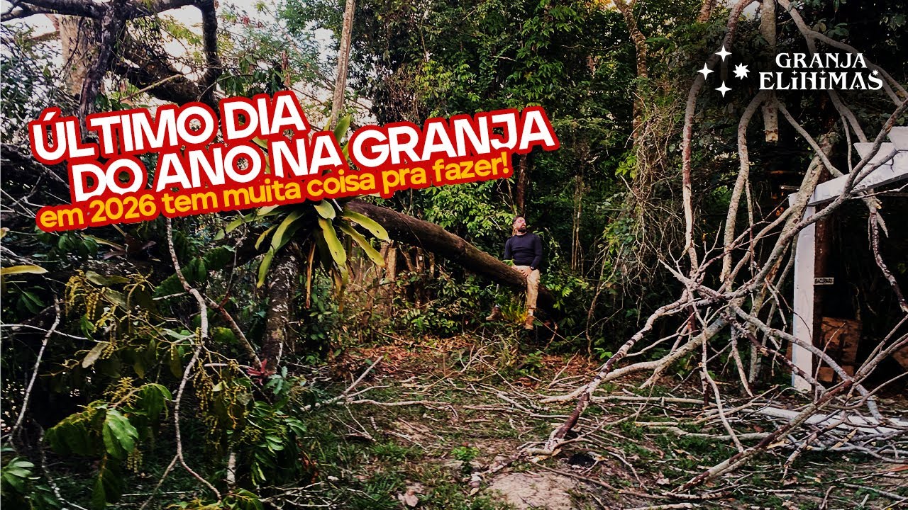 Ultimo dia do ano na Granja: mudas, pintinhos, árvore caída… e meu filho comigo 🌱🐥🪵