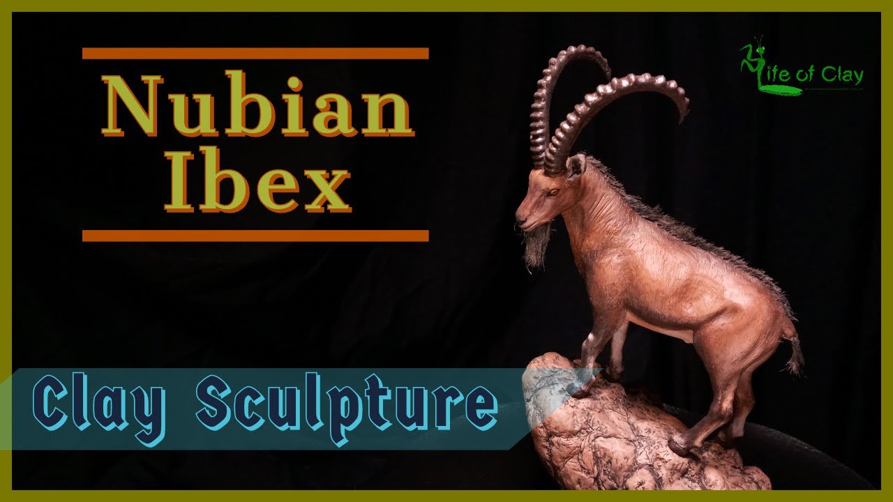 Sculpting Nubian Ibex (Capra nubiana)_Polymer Clay_Life of Clay