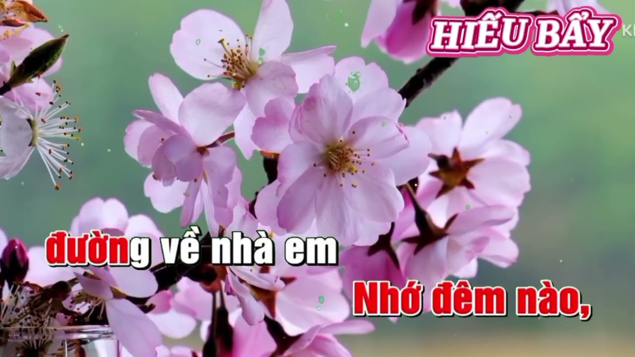 Karaoke Thư Về Em Gái Thành Đô ,tone Nữ