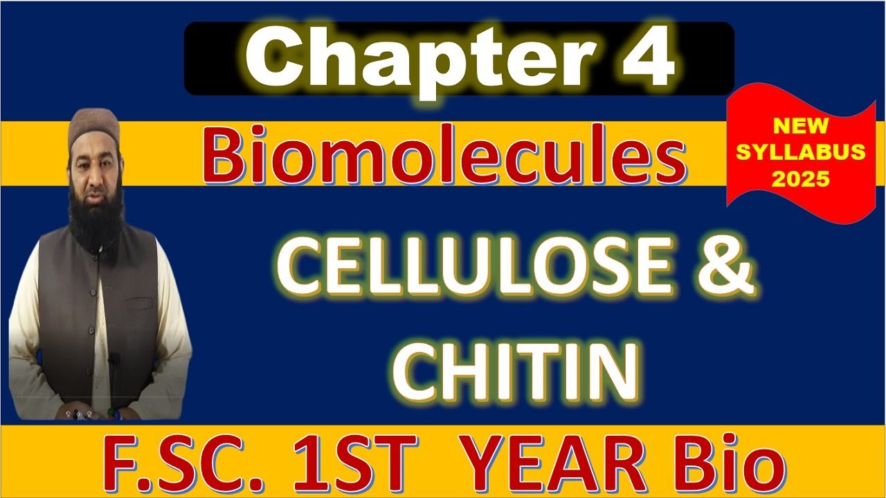 F.Sc. 1st Year Biology | Cellulose and Chitin: Structure & Functions | Class 11 New Syllabus 2025