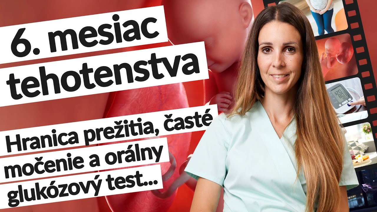 6. mesiac tehotenstva (23. – ⁠26. tt) | Tehotenstvo týždeň po týždni | #tehotenstvo
