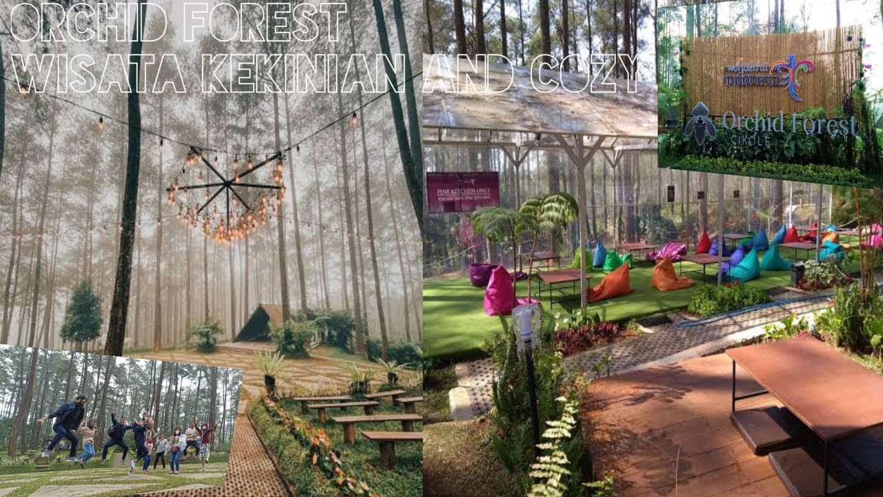 Orchid Forest Cikole | Kesejukan Udara Alam | Rekreasi Alam @bptmstchannel290
