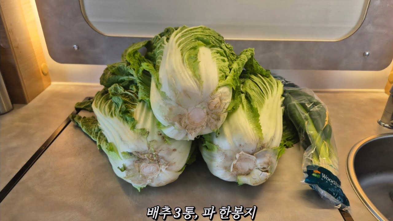NZ,, 캠퍼밴에서 배추김치 담그기