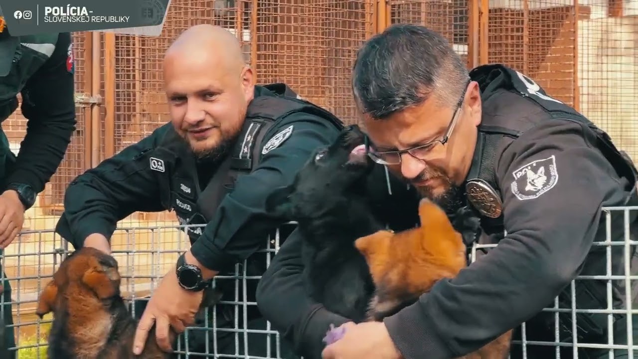 PSOVODI SI PRIŠLI PO SVOJE POLICAJNÉ PSÍKY: DRŽÍME VÁM PALCE