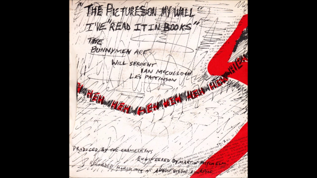 Echo And The Bunnymen - Read It In Books