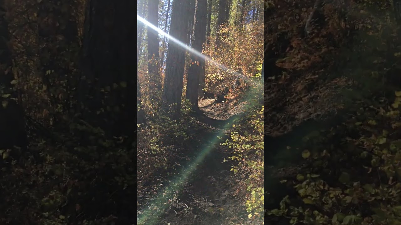 #ifinnature #hiking #mountains #gooutside #fallcolors #autumn  #realtime #shortvideo #oneminute