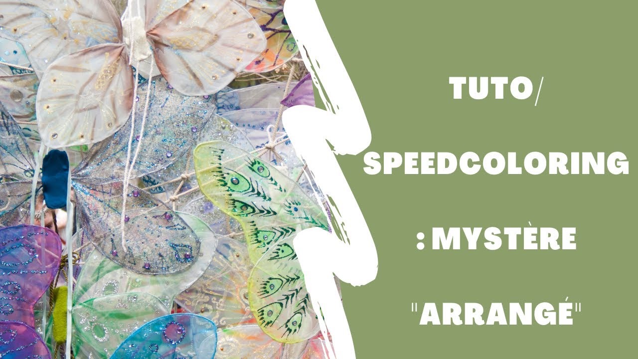 [TUTO] Coloriage mystère arrangé + speedcoloring 🧚‍♀️