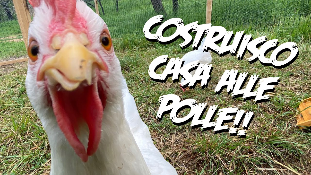 Recinto per pollaio fai da te - Time Lapse