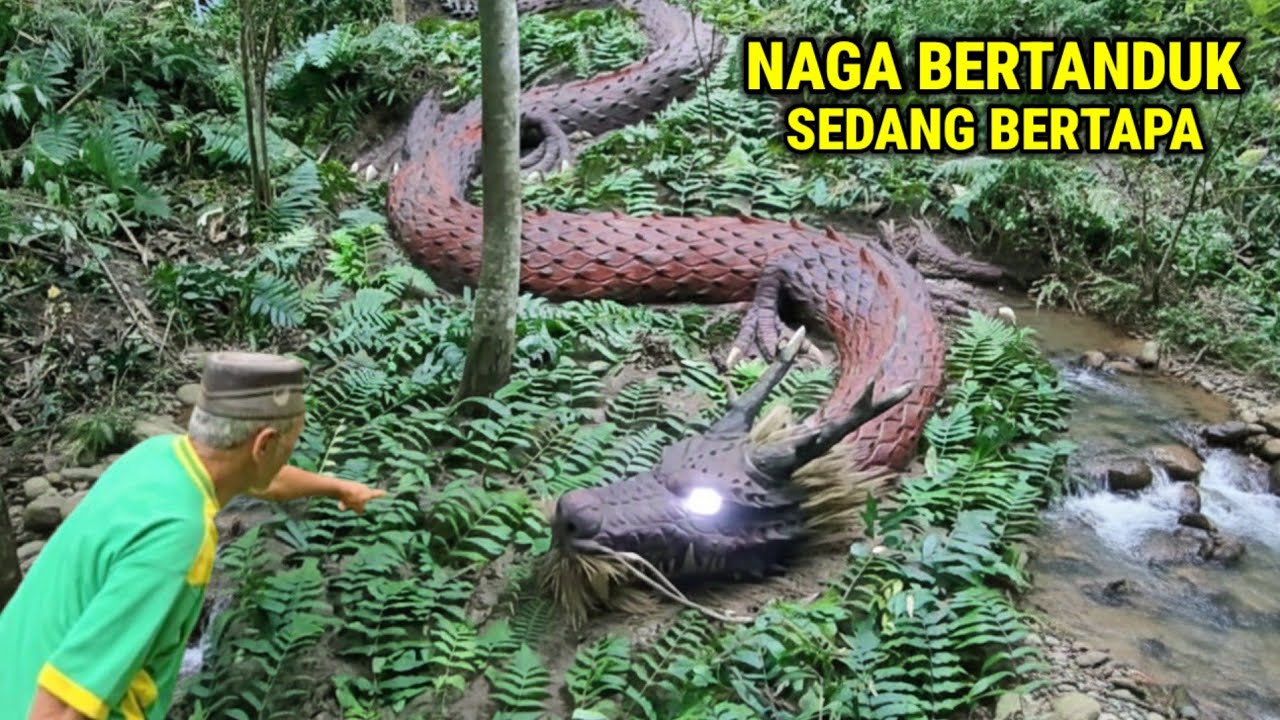 Ngeri !! Kakek Pencari Rumput Melihat Langsung Ular Naga Bertanduk Sedang Bertapa Disumber Dandang