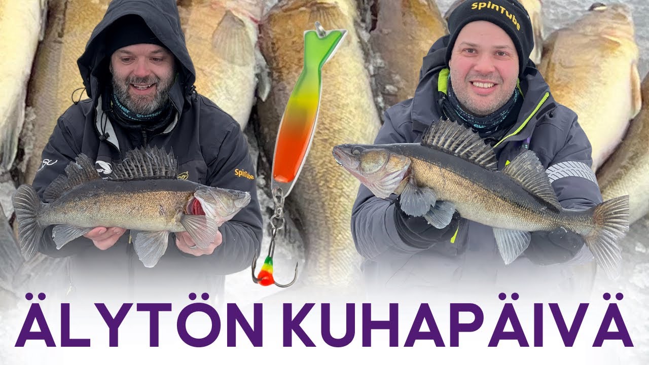 8 kuhaa samasta reiästä - Mieletön syönti - Uudet värit testissä - Kuhan pilkintä - @EumerFishing