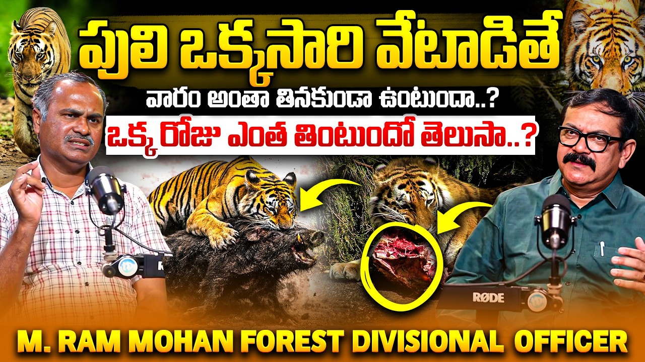 పులి వేట ఎలా చేస్తుంది? Unknown Reality of Tigers - Forest Officer Ram Mohan FDO Exclusive