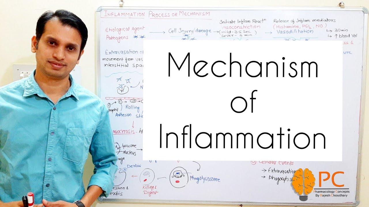 Inflammation (Part 2): Mechanism of inflammation || Vascular and Cellular Events of Inflammation