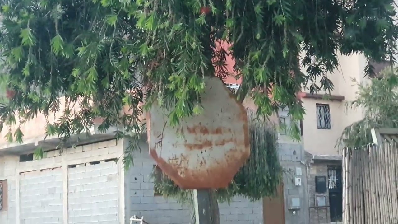 عين عودة جولة بالأحياء الشعبية ... أجي تشوف أبرز النقط 💥