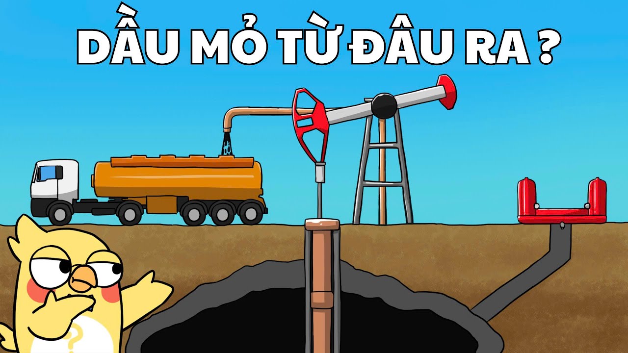 Tại sao dưới lòng đất lại có dầu mỏ?