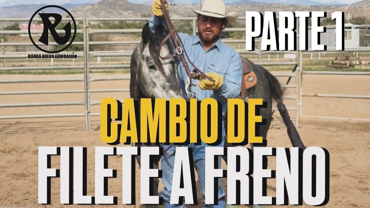 Cómo Cambiar De Filete A Freno De Patas 
