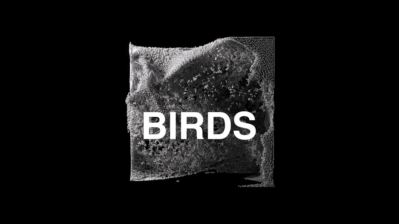 Third Culture, Hiroko Yamamura, David LeSal - Birds