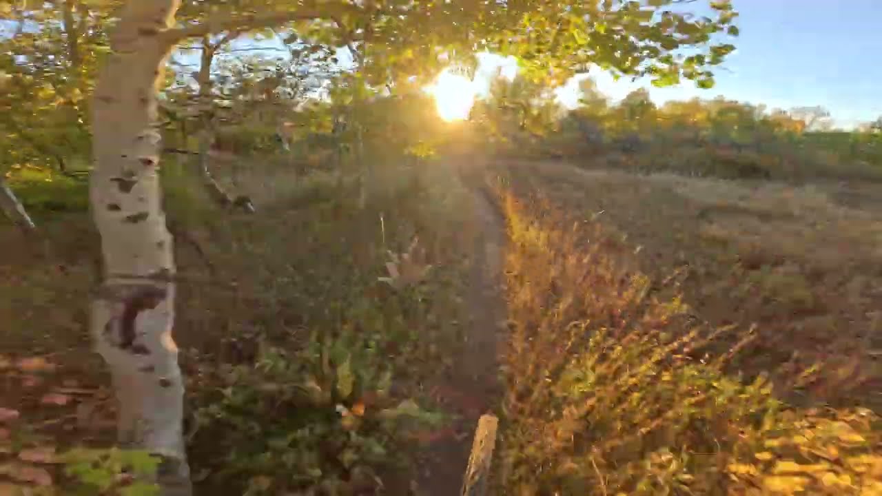 Parrish Creek Trail, Bountiful Utah MTB