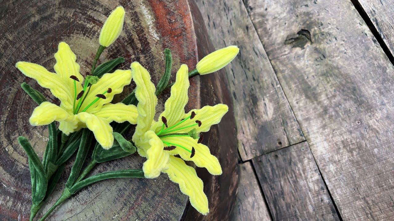 ABC TV | How To Make Lily Flower With Pipe Cleaner - Craft Tutorial