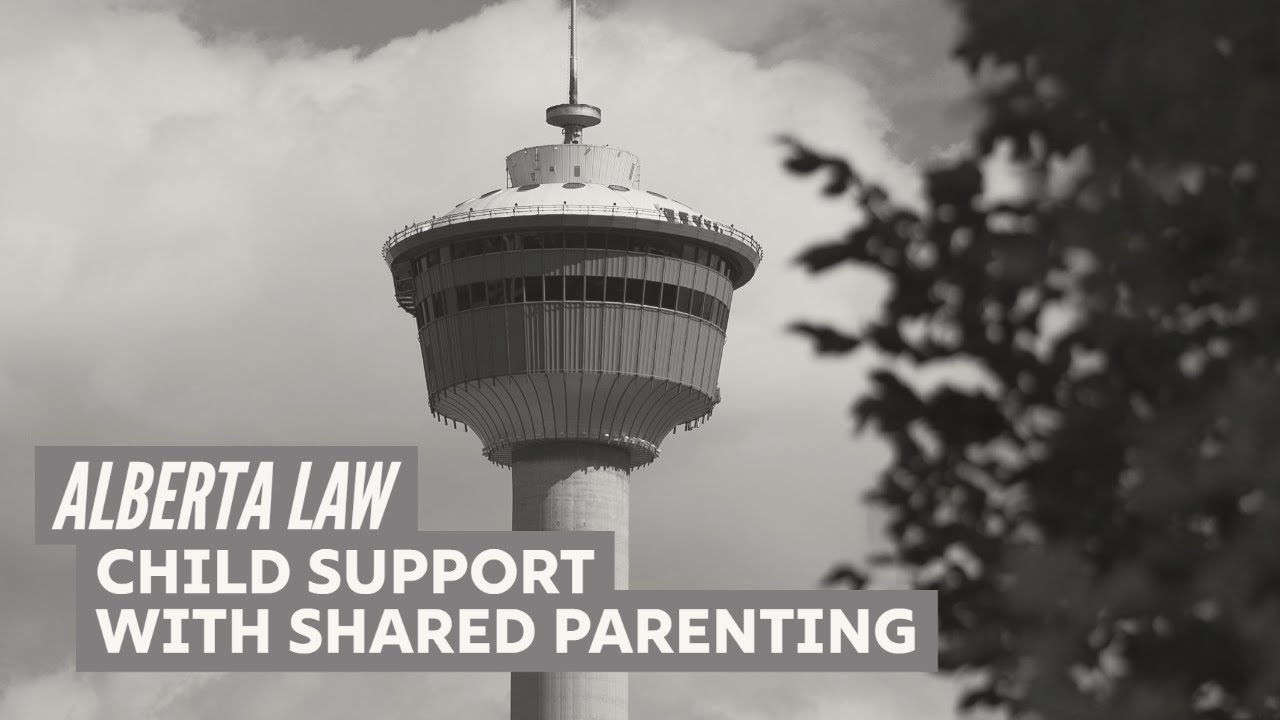 Section 9 Child Support: Shared Parenting