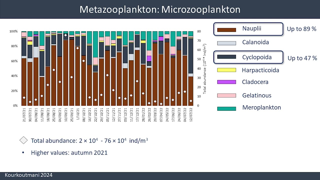 The zooplankton studies in the Hellenic Seas - Litsa Michaloudi