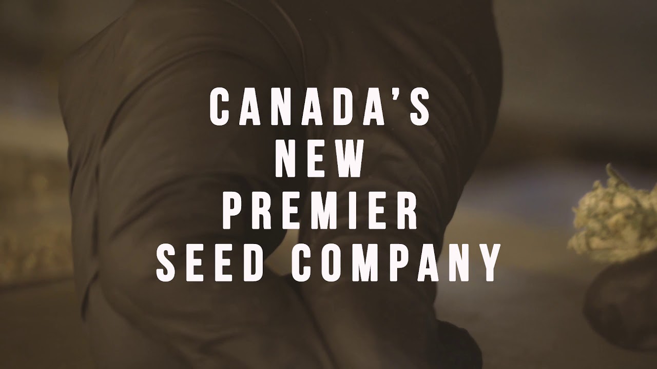 FG Commercial
