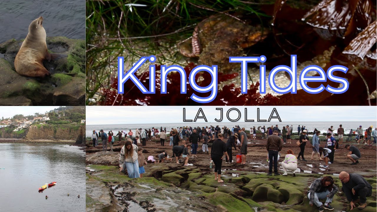 King Tides in La Jolla