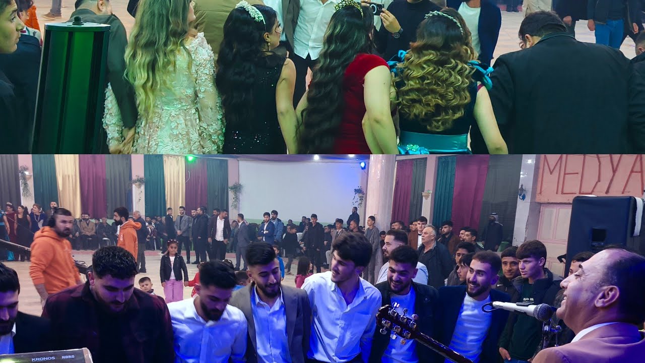 #ترند_جديد🔥رقص كردي 🪕طلاب جامعة روج آفا /عرس عكيد💗 /الفنان محمدشيخموس