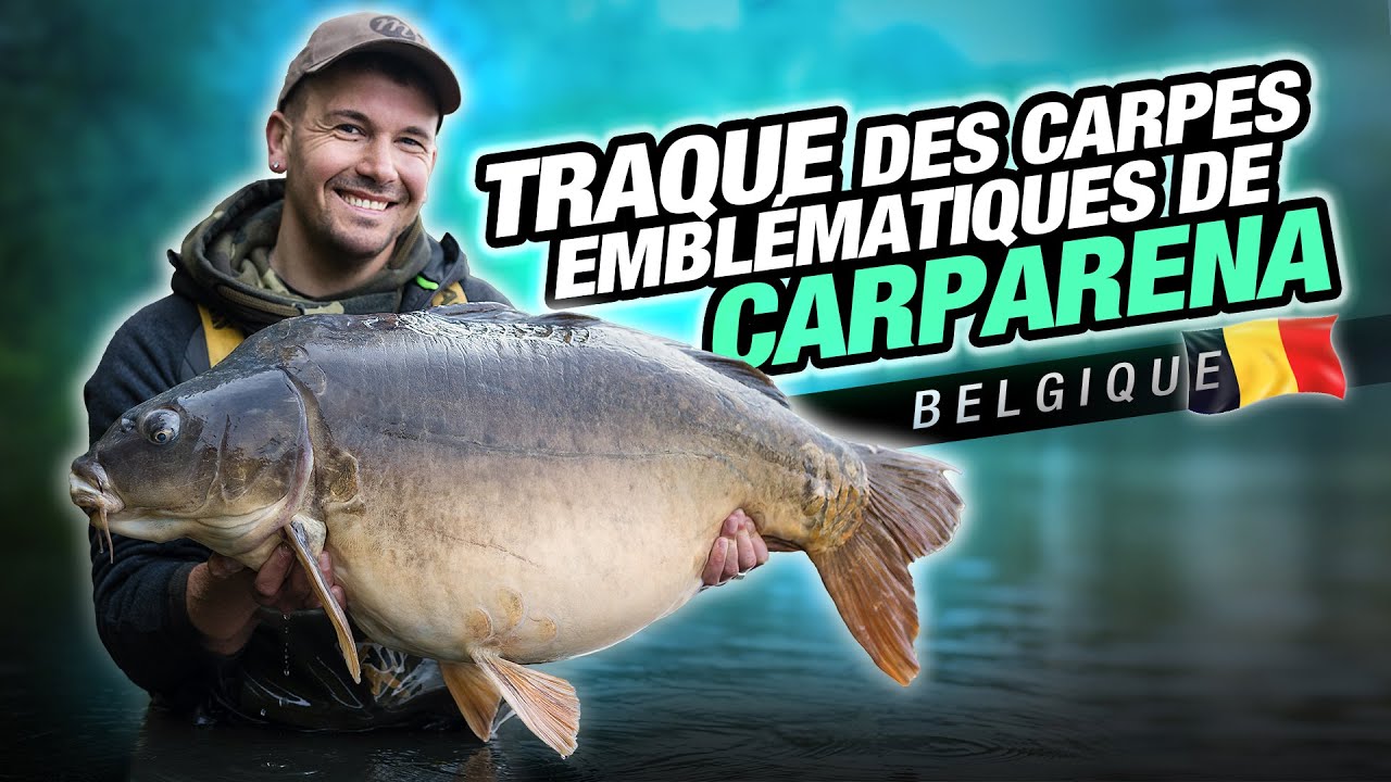 KORDA CARP FISHING FILM:  TRAQUE DES CARPES EMBLÉMATIQUES DE CARPARENA ( Pierre Meyer )