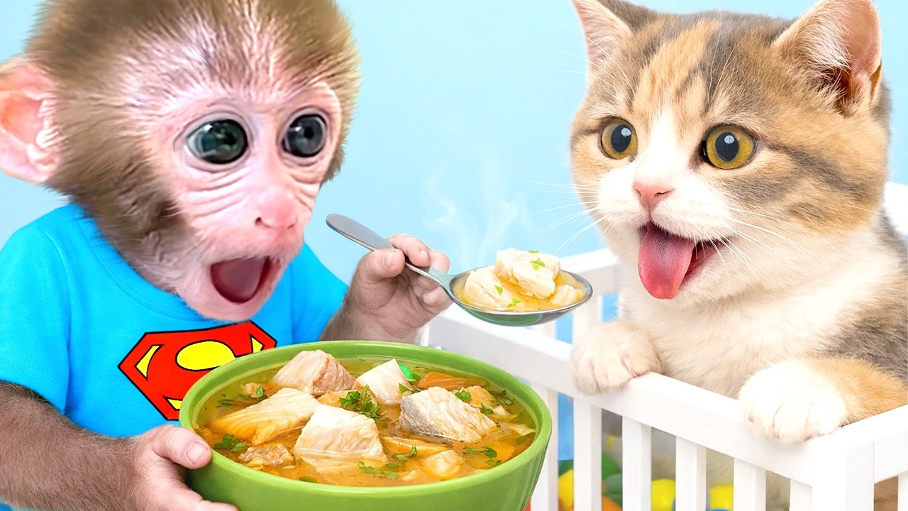 Bayi monyet Bonbon merawat kucing-kucing lucu dan membuat jus semangka