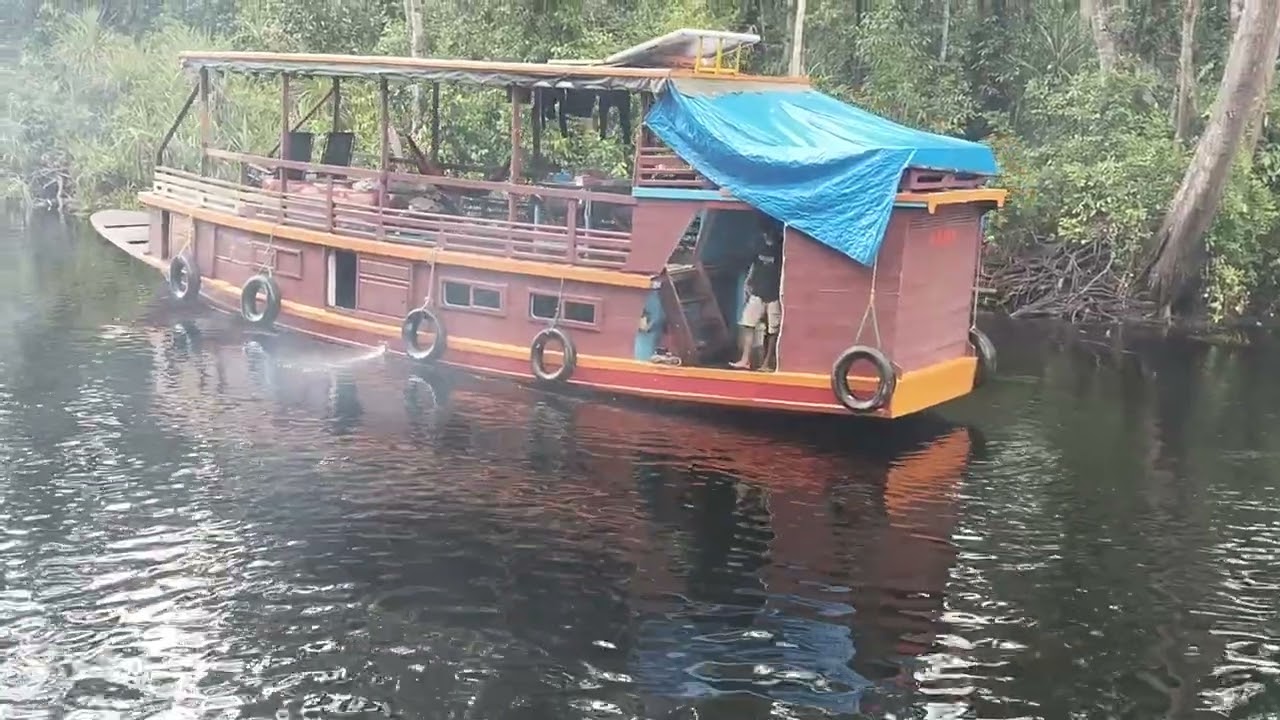 kapal wisata tanjung puting kalimantan