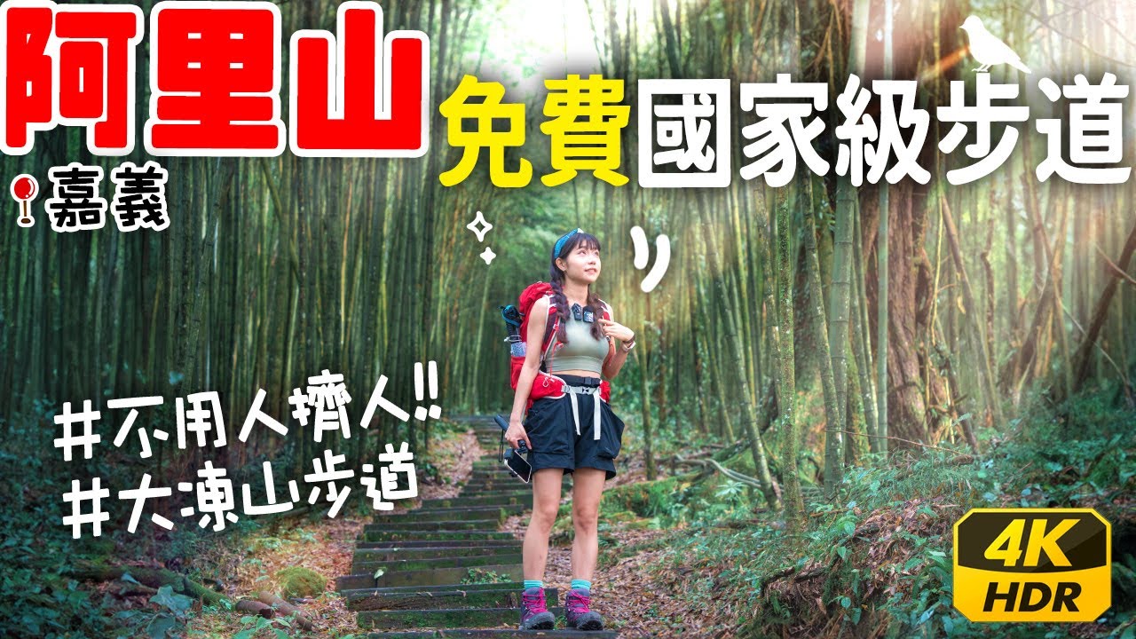 阿里山你不知道的仙氣步道⛰️免門票不用人擠人！隱藏的超原始山林生態美景🥹💕｜4K HDR | 大凍山