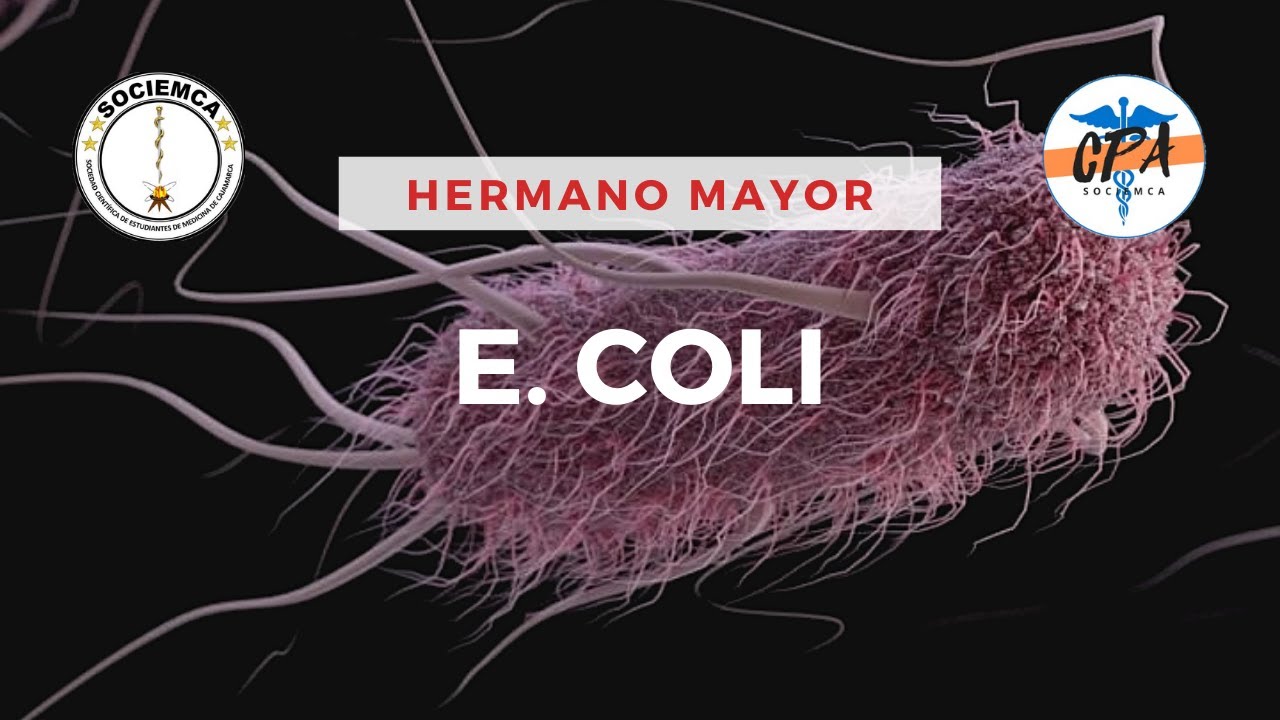 Escherichia coli