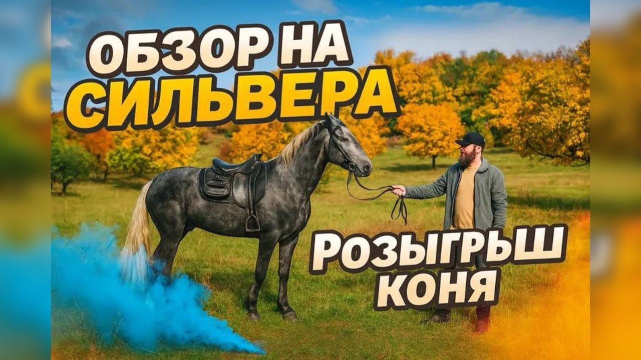🐎 На что способен Сильвер? Испытания коня: конкур, охота, походы | Александр Обжерин