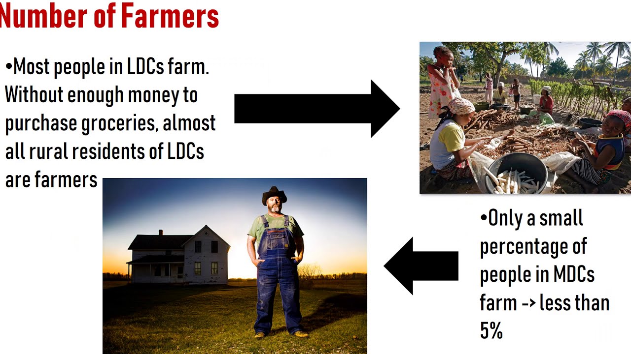Subsistence v  Commercial Agriculture
