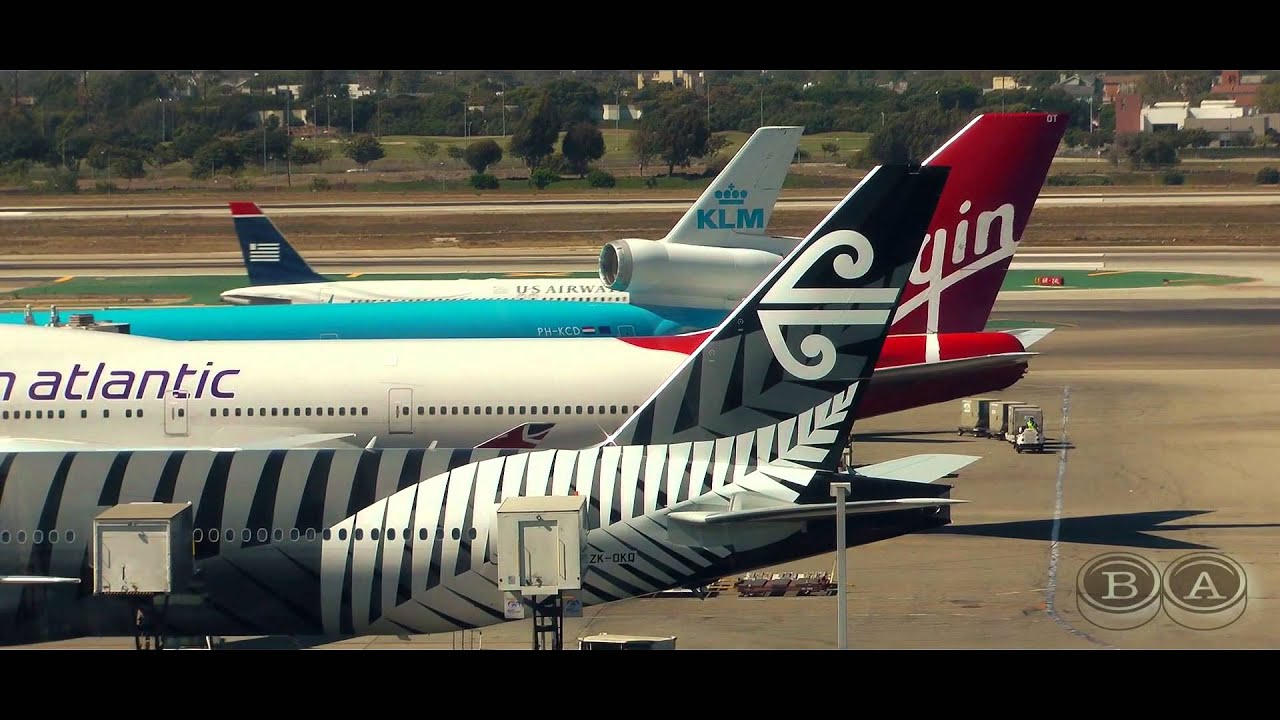 The LAX Experience (Short Film)