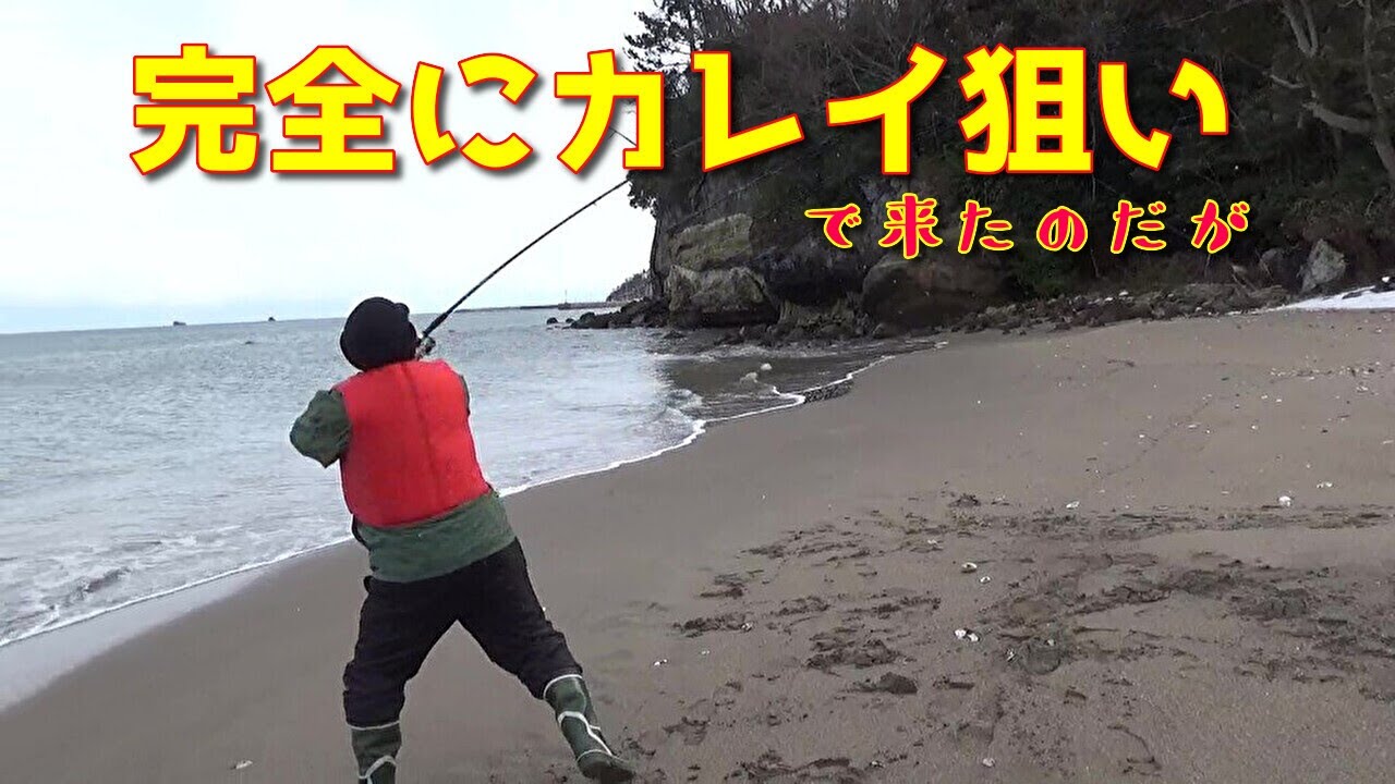 【七ヶ浜投げ釣りカレイ】温暖化の影響ですかね