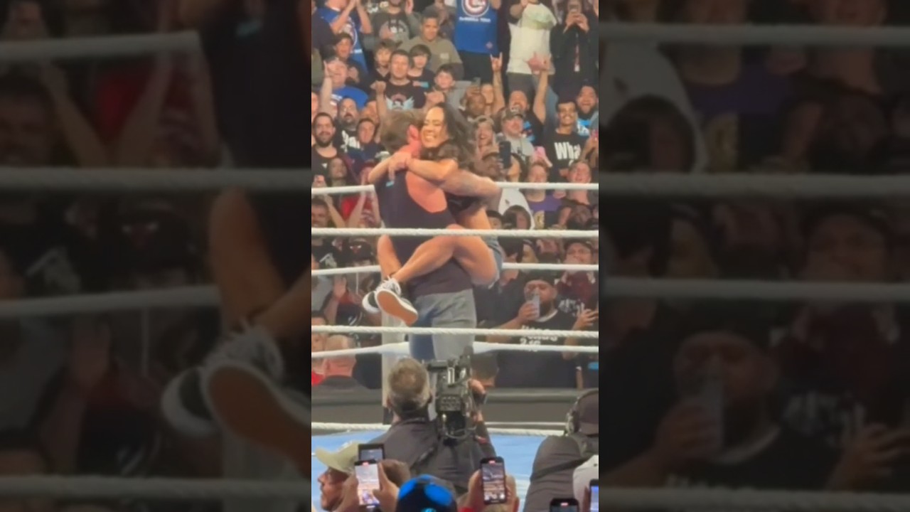 AJ LEE Returns to Save CM Punk