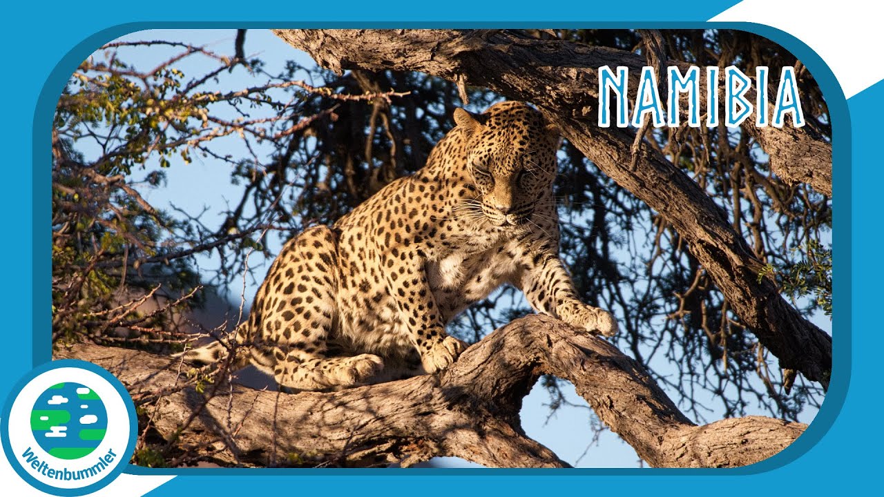 (1/3) Mit Gebeco nach Namibia - Atlantik, Dünen und wilde Tiere
