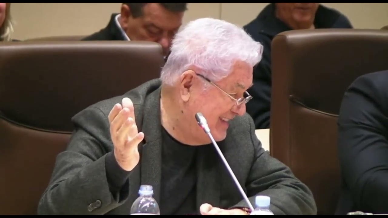 Voronin: „Nu posed limba română, am să vorbesc în limba rusă”
