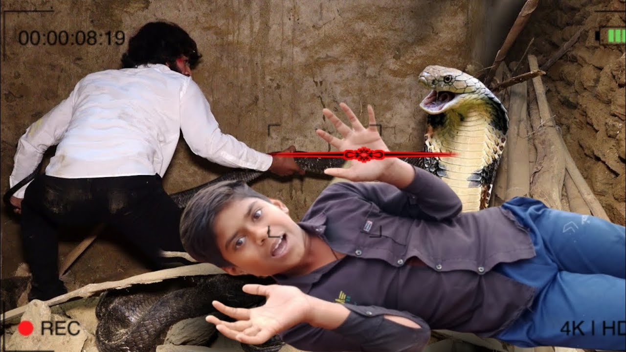 King Cobra Rescue 😱 एक गलती और मौत तय! कैमरे में कैद खौफनाक पल