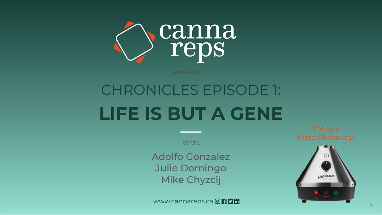 Cannabis Genetics: Life is But A Gene | CHRONICLES 01