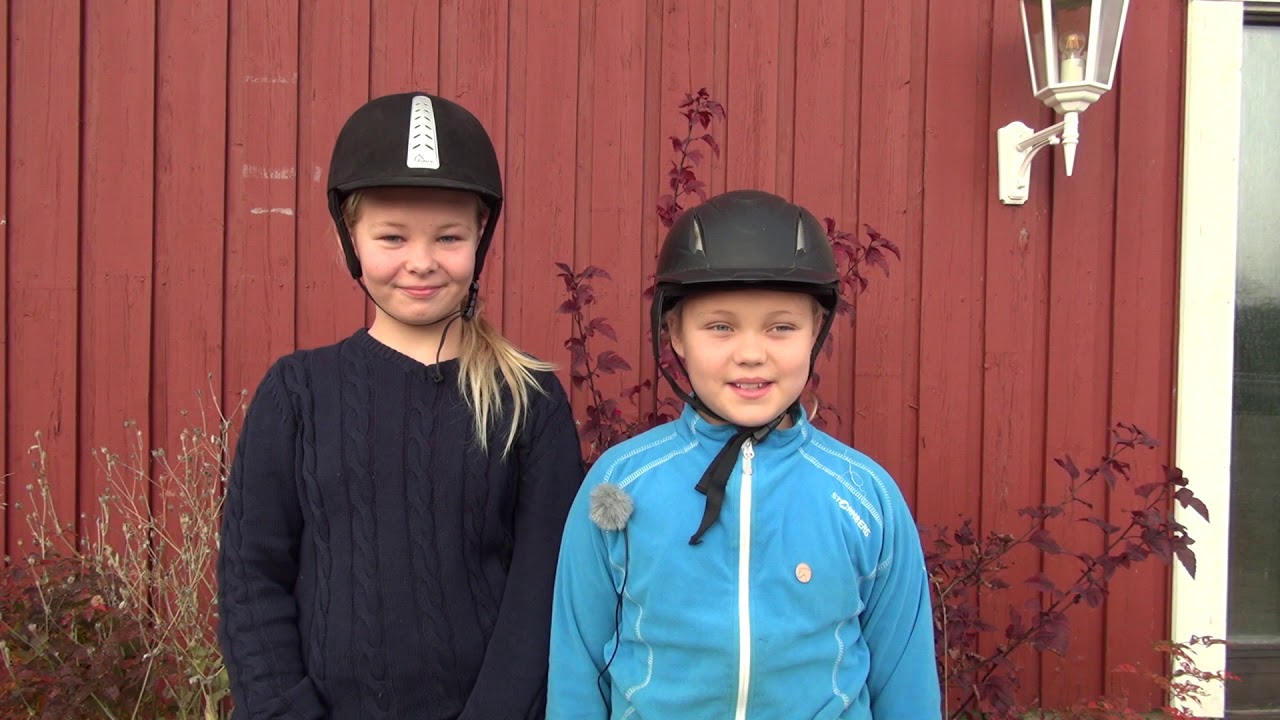 KRK - Ett centrum för ridsport i Värmland