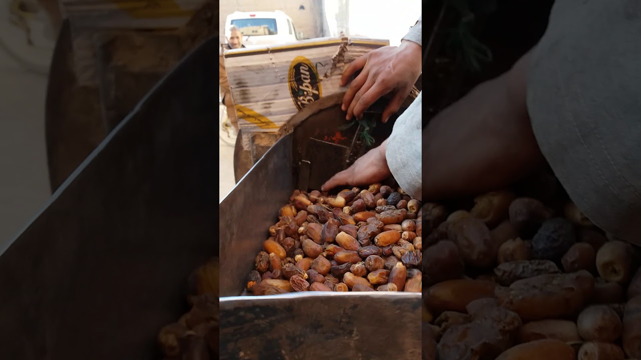 عملية طحن التمر غير الجيد وتحويله إلى علف للبهائم بمنطقة الجرف بالرشيدية