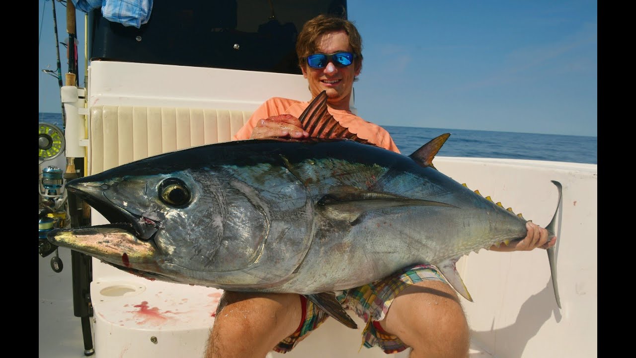 Bluefin Tuna Fishing Off Block Island RI