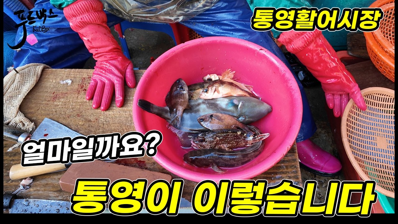 통영  활어시장에 갔더니 이렇게 줍니다 ~  과연 얼마일까요?