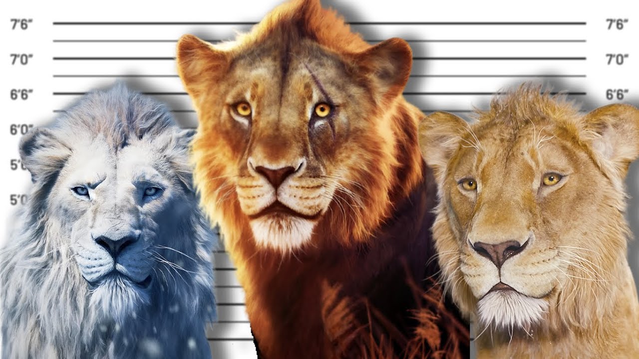 If ALL Lion King Villains Were Charged For Their Crimes (Disney Live Action)